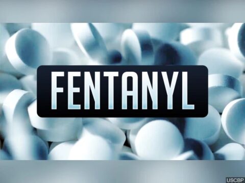 The Fentanyl Crisis: Awareness and Prevention by Marianne Gouveia ...